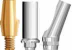 Picture of Stock Abutments (BlueSkyBio.com)